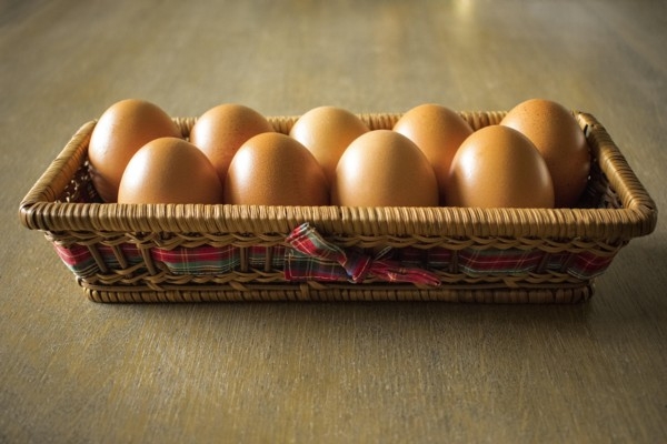 Iepazīsties ar Derības šķirsta mīklainajiem ceļiem